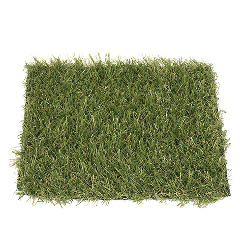 Vera | 22 mm - Imagen 3