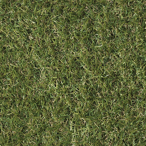 Vera | 22 mm - Imagen 5