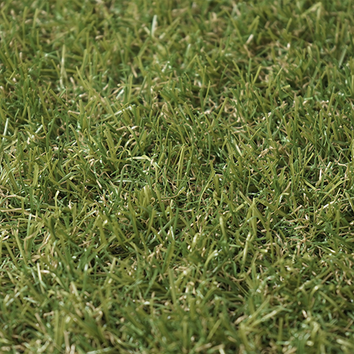 Vera | 22 mm - Imagen 4