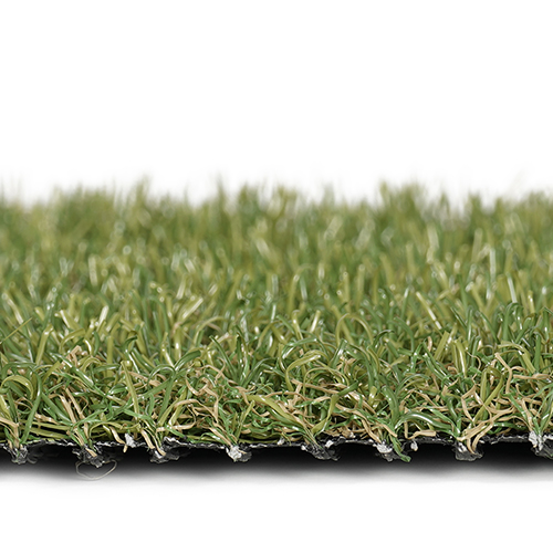 Vera | 22 mm - Imagen 2