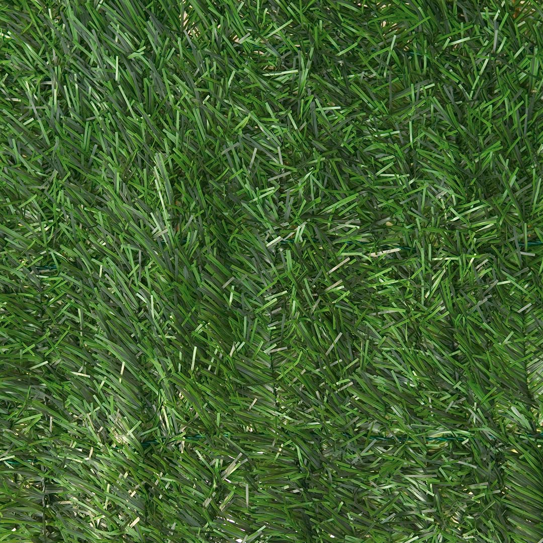 Seto Fino - Imagen 2