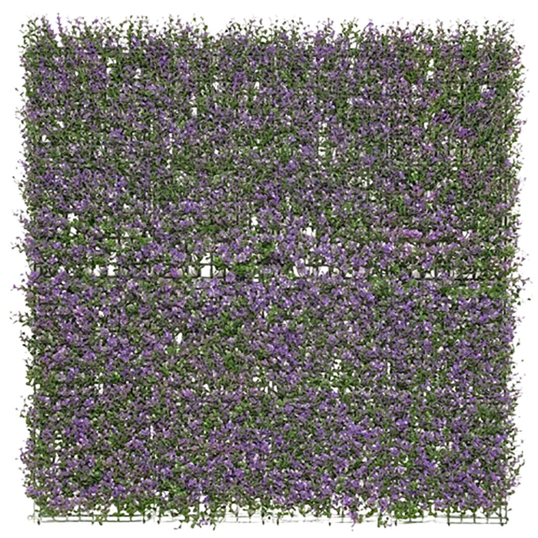Lavanda