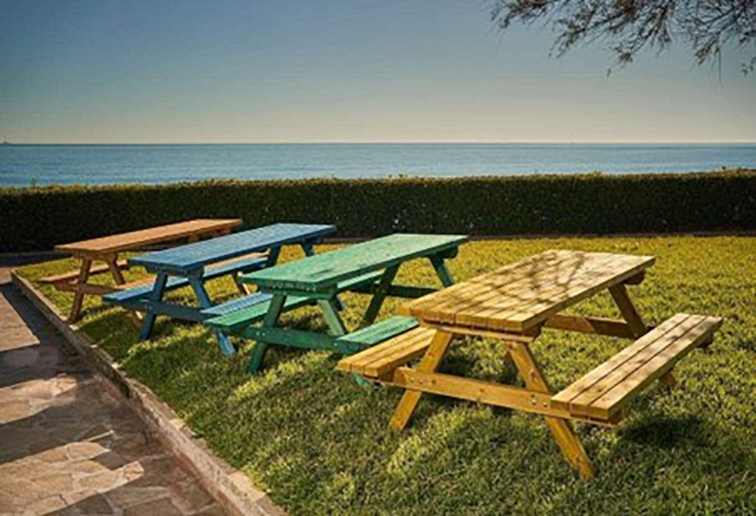 Vina 01 color amarillo - Imagen 2