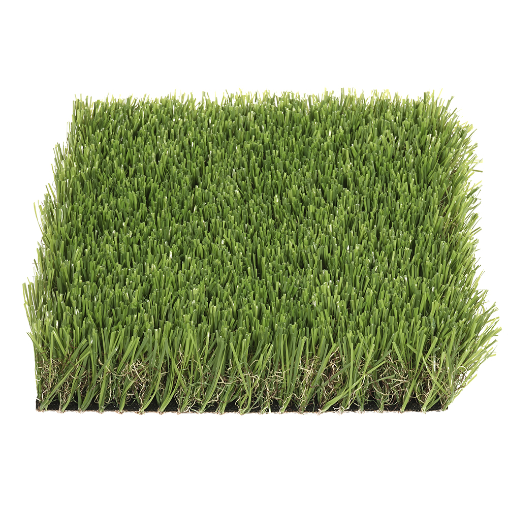 Pardo | 40 mm - Imagen 2