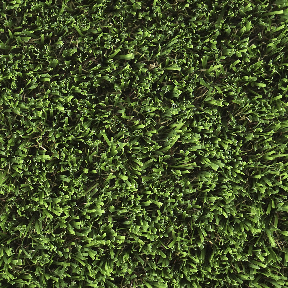 Pardo | 40 mm - Imagen 4