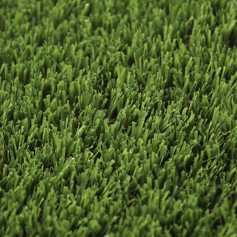 Pardo | 40 mm - Imagen 3