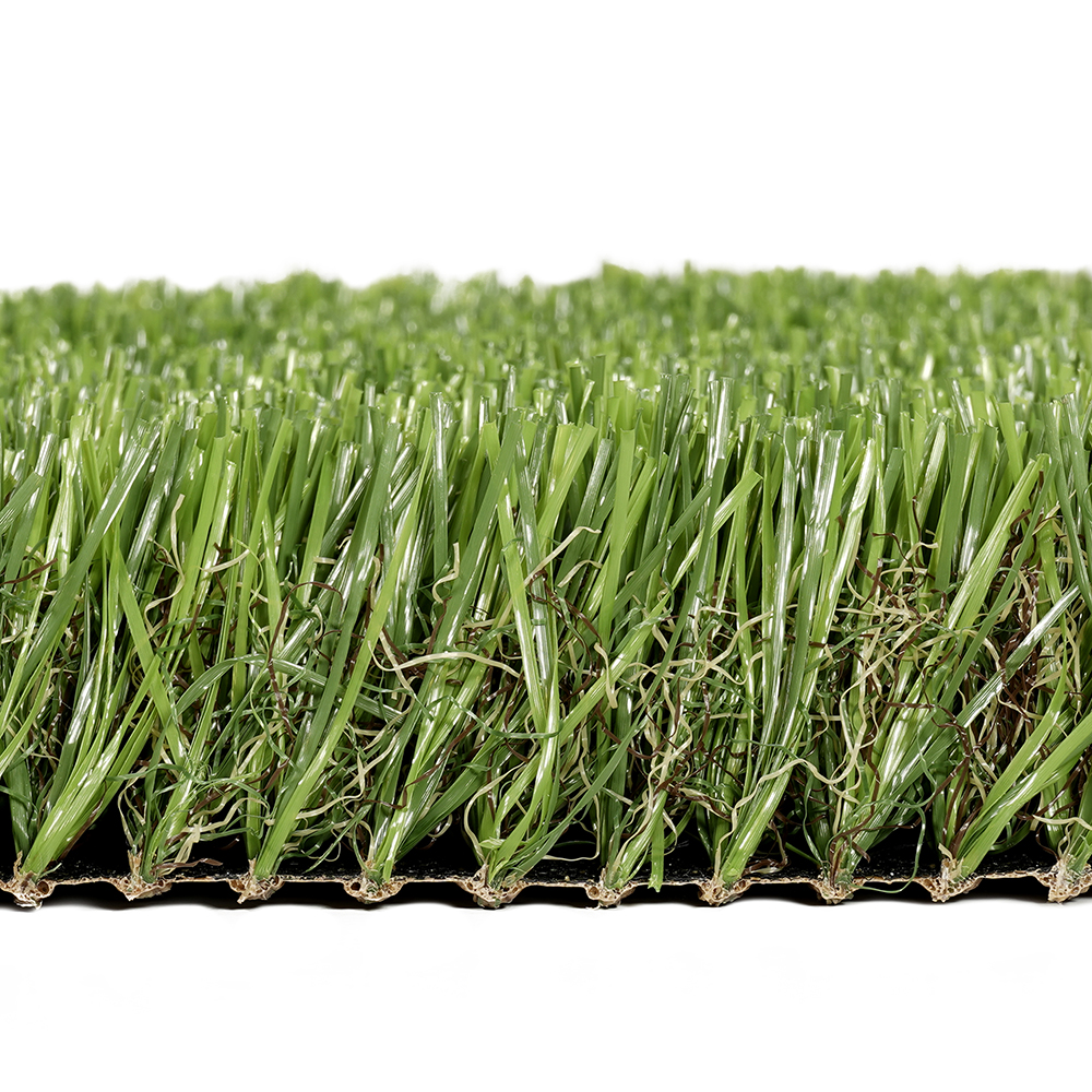 Pardo | 40 mm - Imagen 5