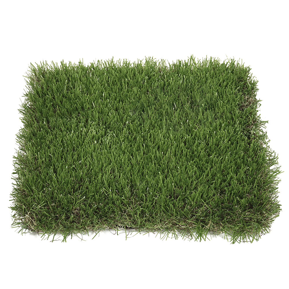 Oasis | 40 mm - Imagen 2