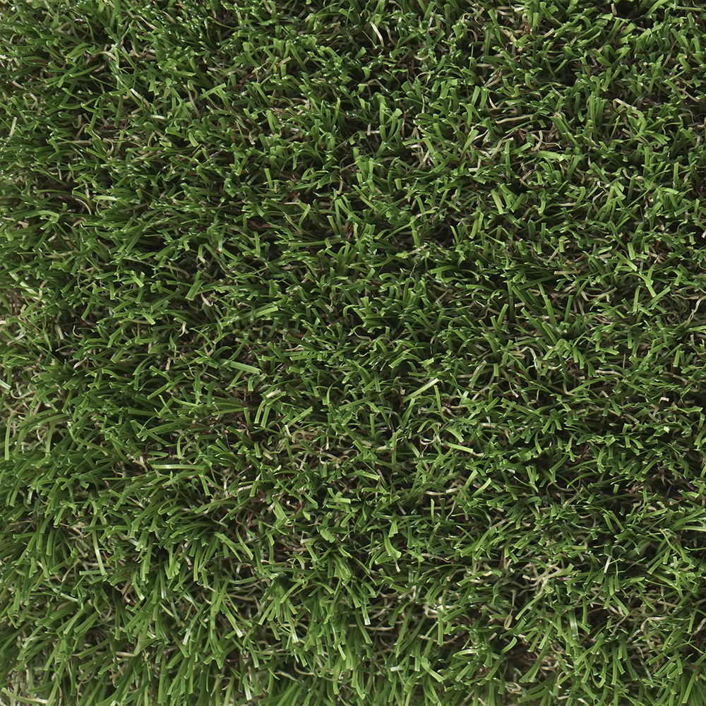 Oasis | 40 mm - Imagen 3