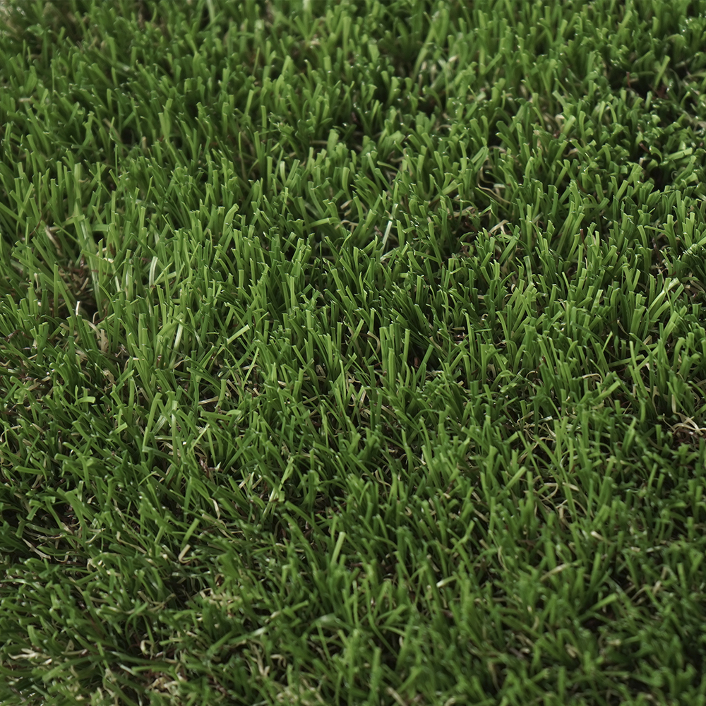 Oasis | 40 mm - Imagen 4