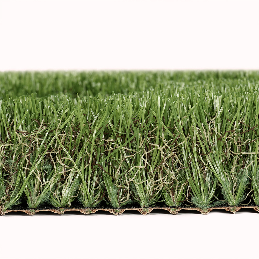 Oasis | 40 mm - Imagen 5