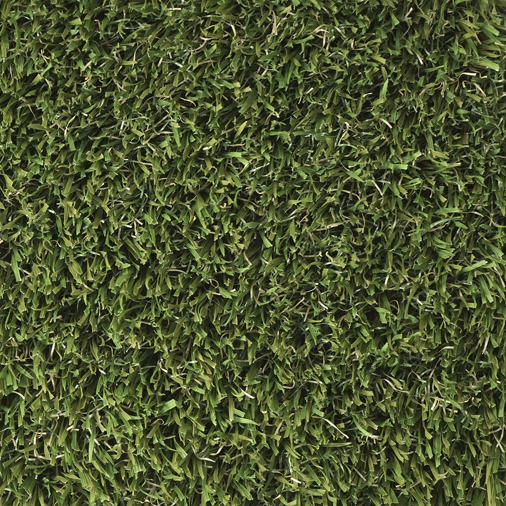 Neila | 35 mm - Imagen 4