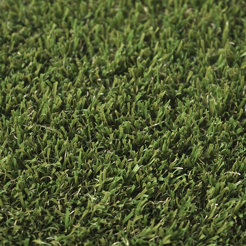 Neila | 35 mm - Imagen 3