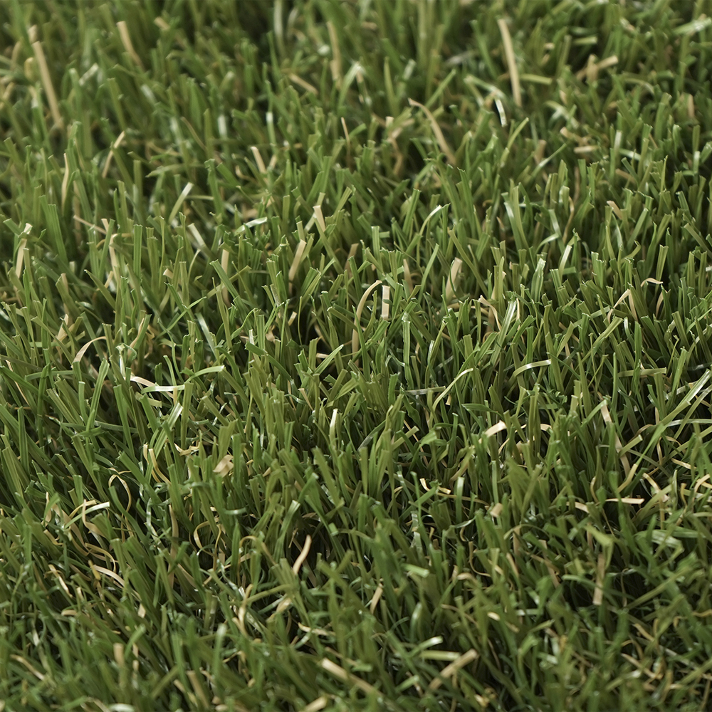 Evia | 55 mm - Imagen 4