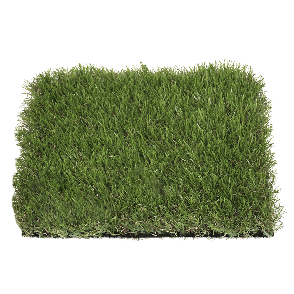 Foresland | 35 mm - Imagen 2