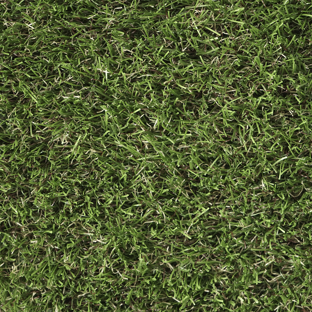 Foresland | 35 mm - Imagen 3