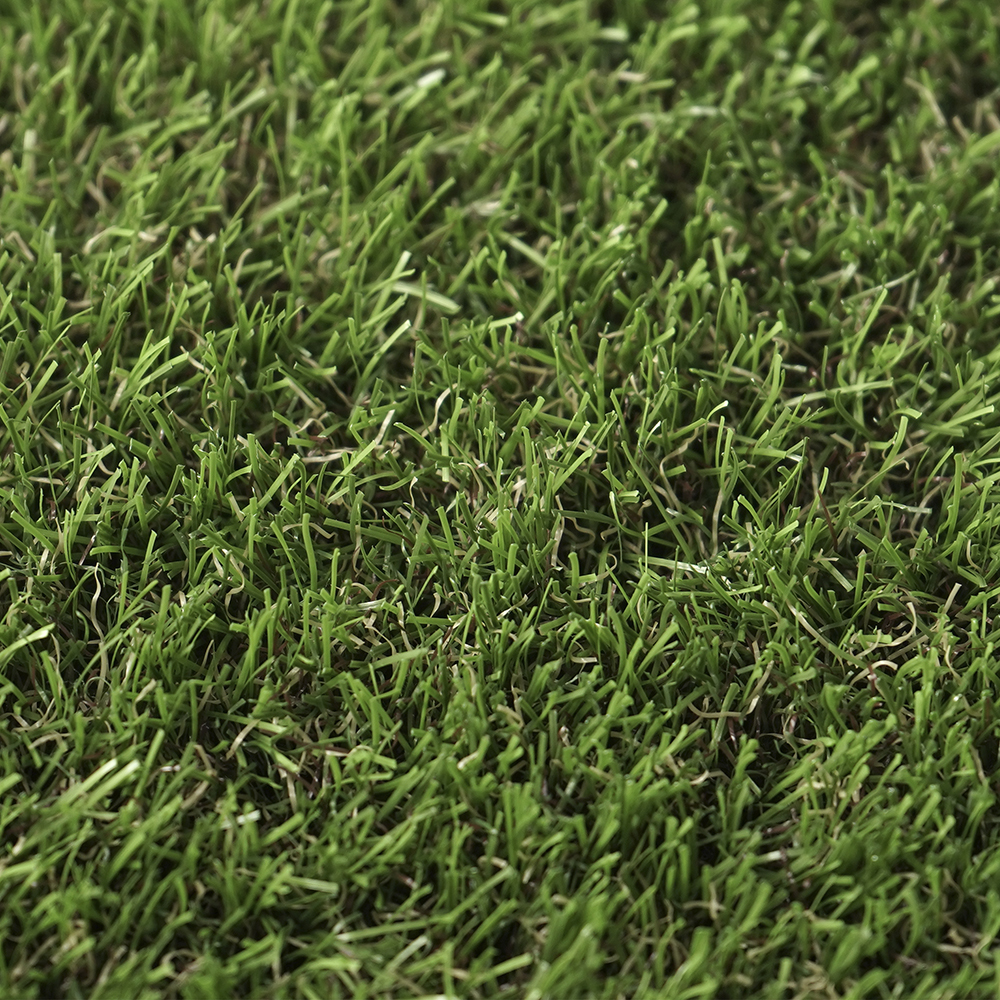 Foresland | 35 mm - Imagen 4