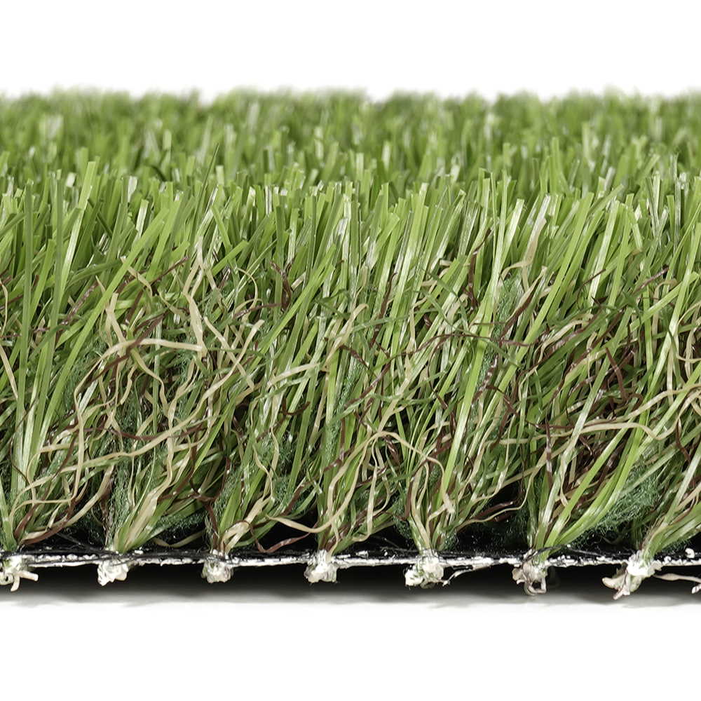 Foresland | 35 mm - Imagen 5