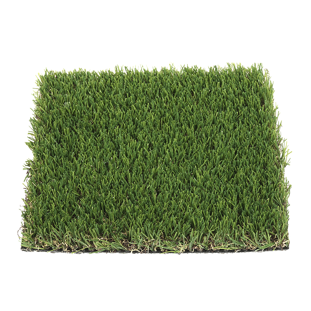 Balearia | 25 mm - Imagen 2