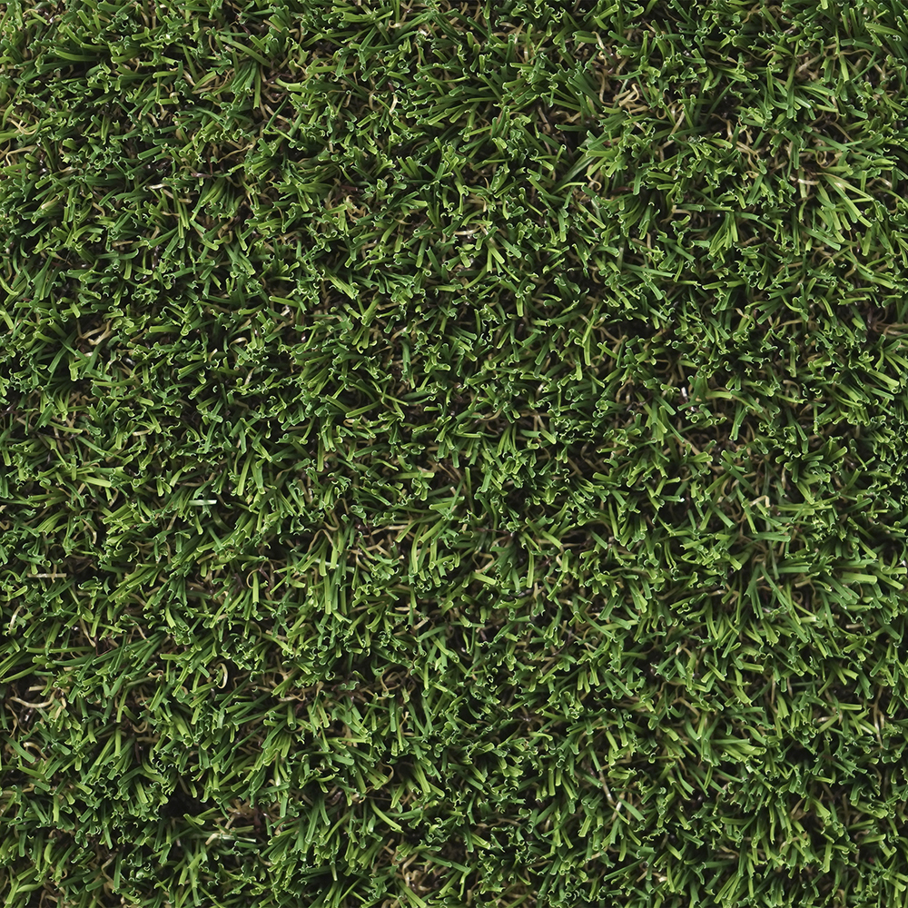 Balearia | 25 mm - Imagen 3