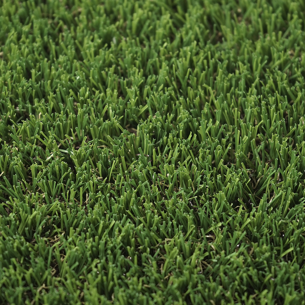 Balearia | 25 mm - Imagen 4