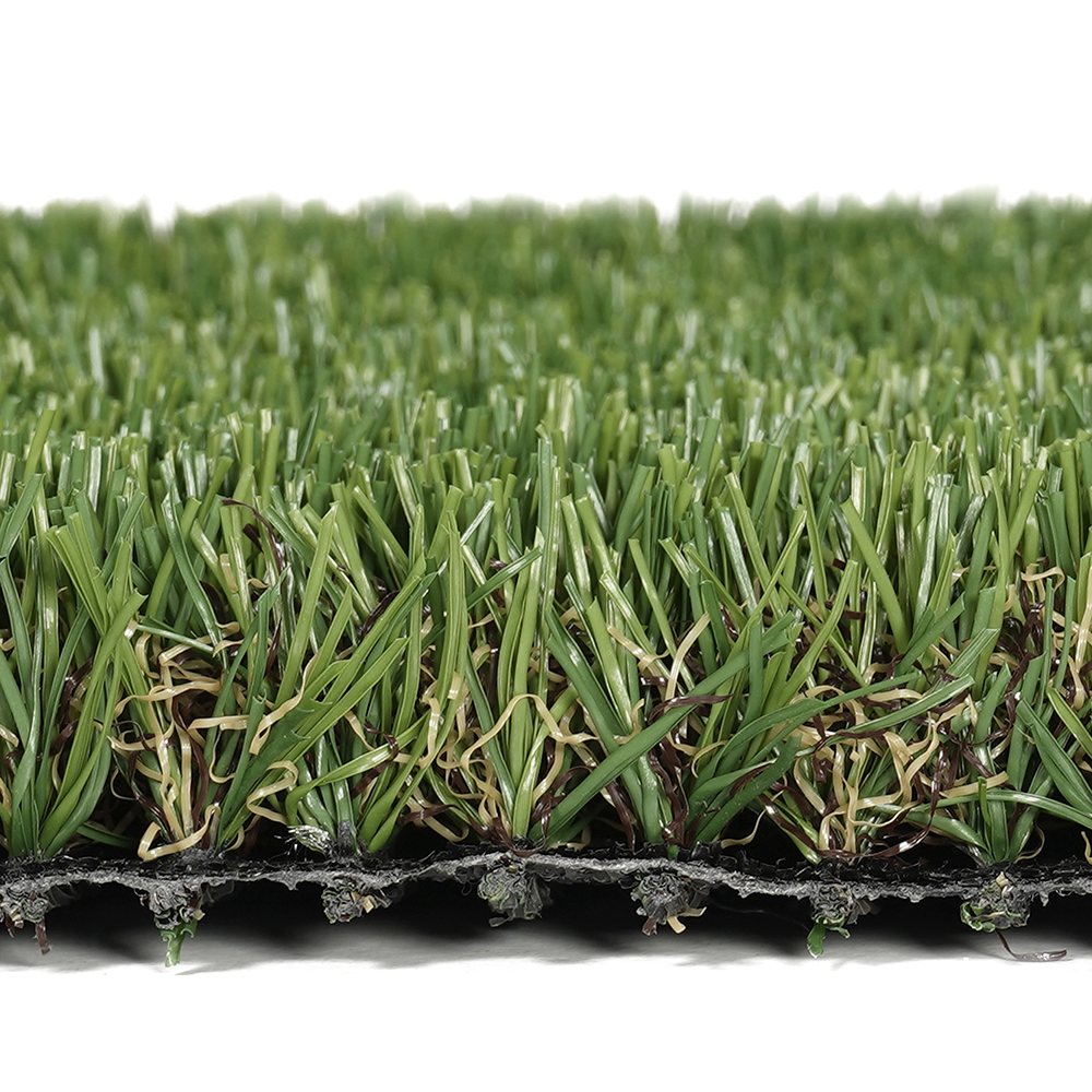 Balearia | 25 mm - Imagen 5