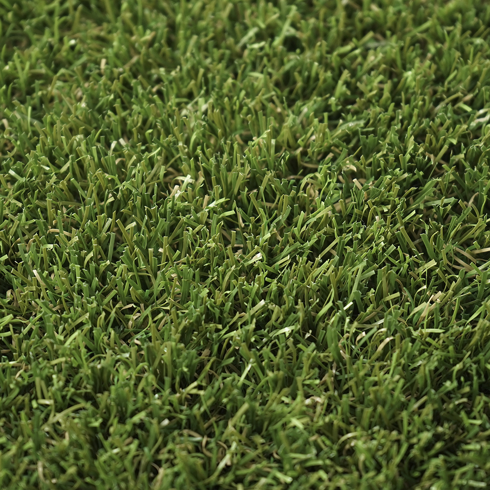 Niza | 35 mm - Imagen 3