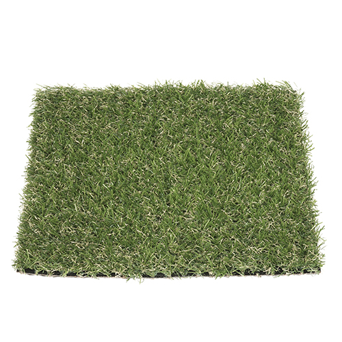 Styx Cactus | 19 mm - Imagen 3