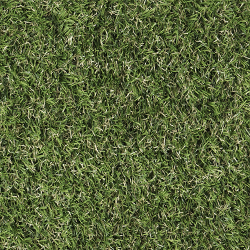 Styx Cactus | 19 mm - Imagen 4