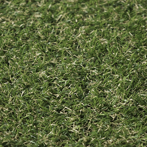 Styx Cactus | 19 mm - Imagen 5