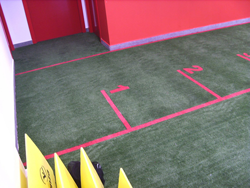 proyectos cesped la plana (7)